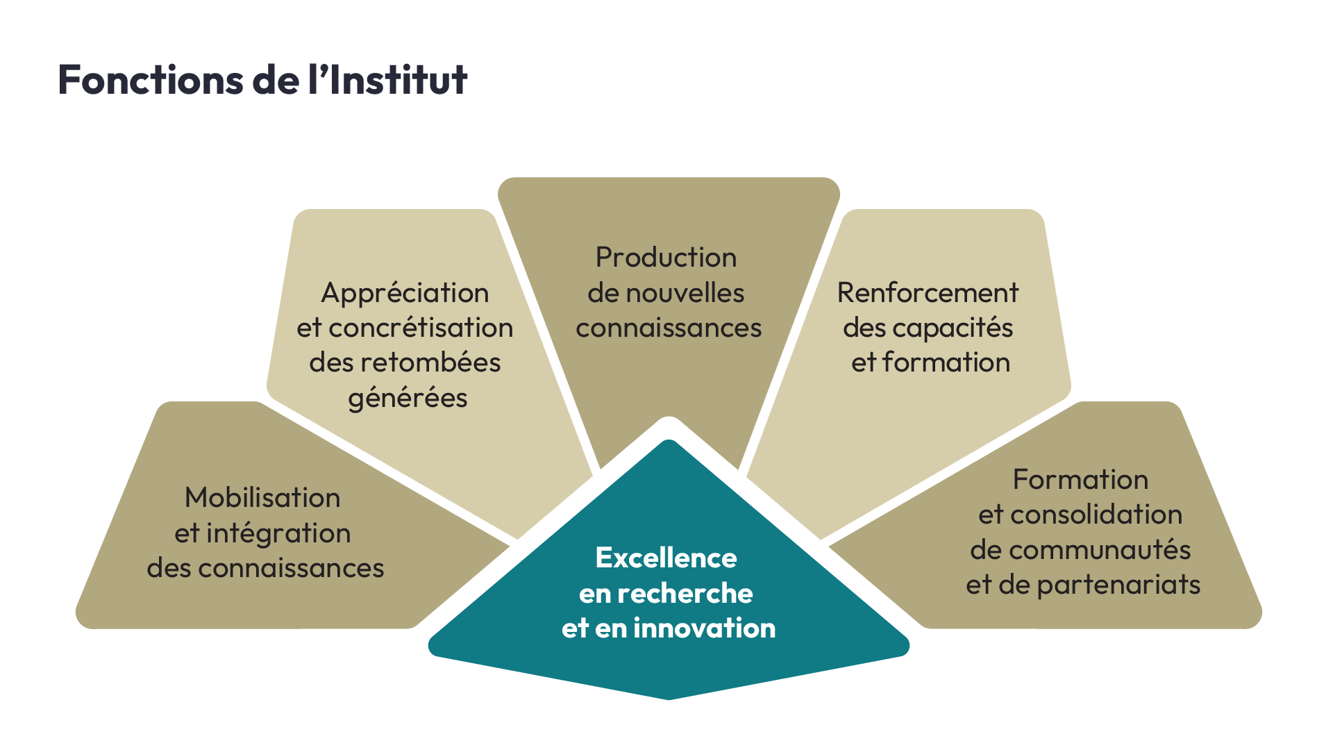 Fonctions de l’Institut du vieillissement des IRSC